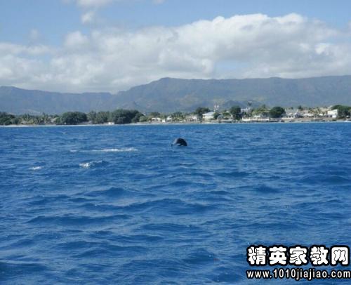 酒店前台工作计划