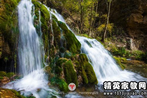 描写梨花的唯美句子大全