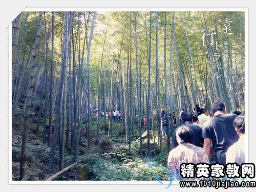 南山竹海景区导游词