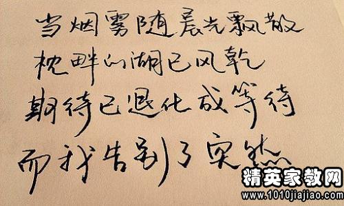 我的梦想作文800字