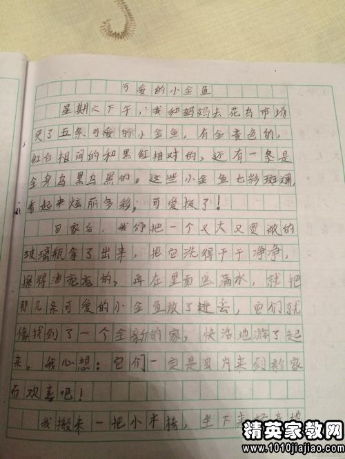 我为妈妈做康乃馨怎么写日记