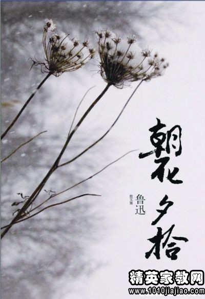 朝花夕拾读后感50字共五篇