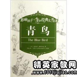《青鸟》读后感100字 | 100字--精英家教网--