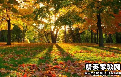 观察日记一则400字