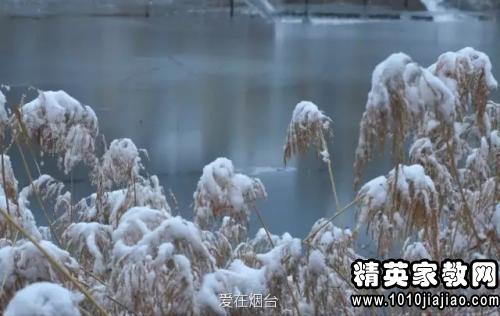 描写一夜大雪的诗句