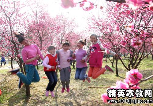 踏青作文300字左右