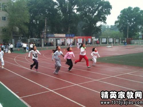 秋季运动会作文800字2篇