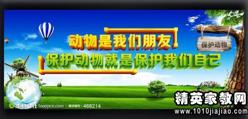 保护动物的宣传口号经典大全