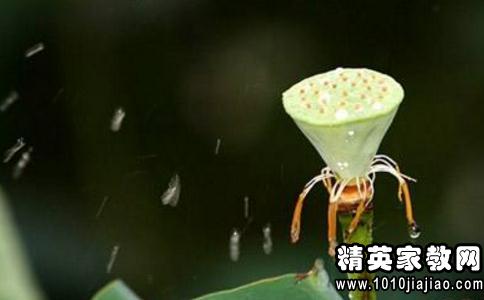 佛说人生感悟的句子