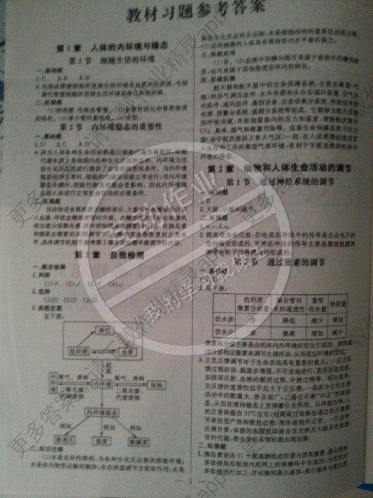 人口与环境阅读答案_人口与环境阅读答案(2)