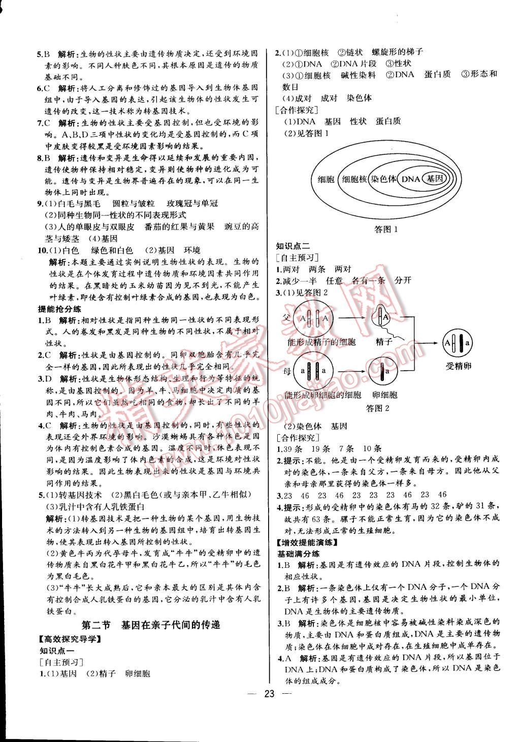 2015年同步导学案课时练八年级生物学下册人教版河北专版 第7页