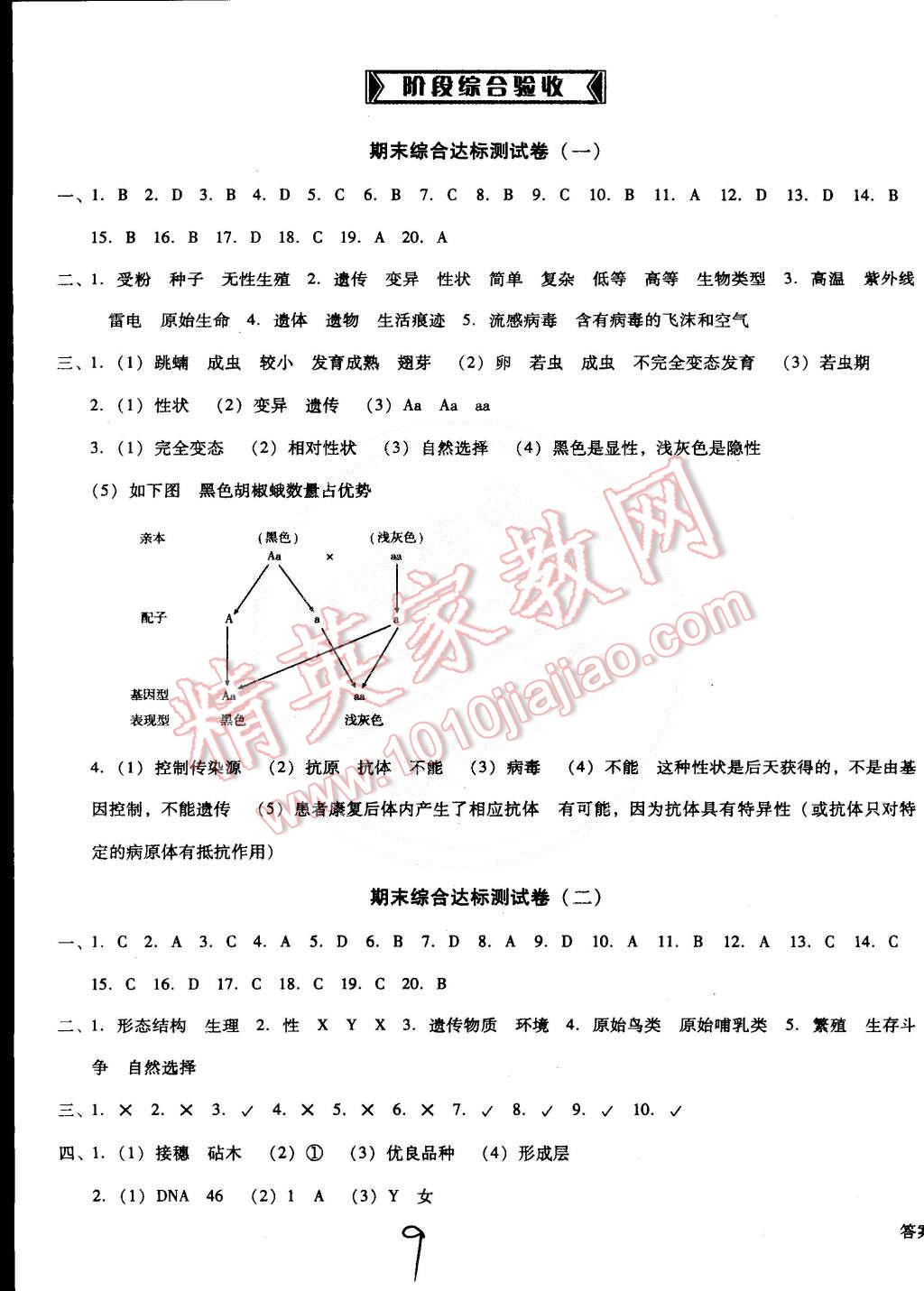 2015年單元加期末復(fù)習(xí)與測試八年級生物下冊人教版 第9頁