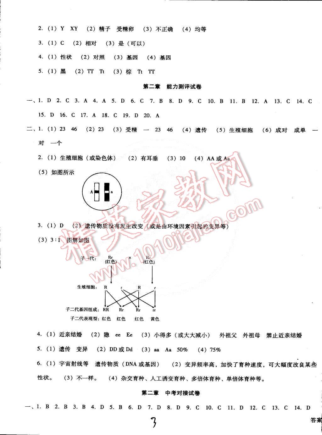 2015年單元加期末復習與測試八年級生物下冊人教版 第3頁