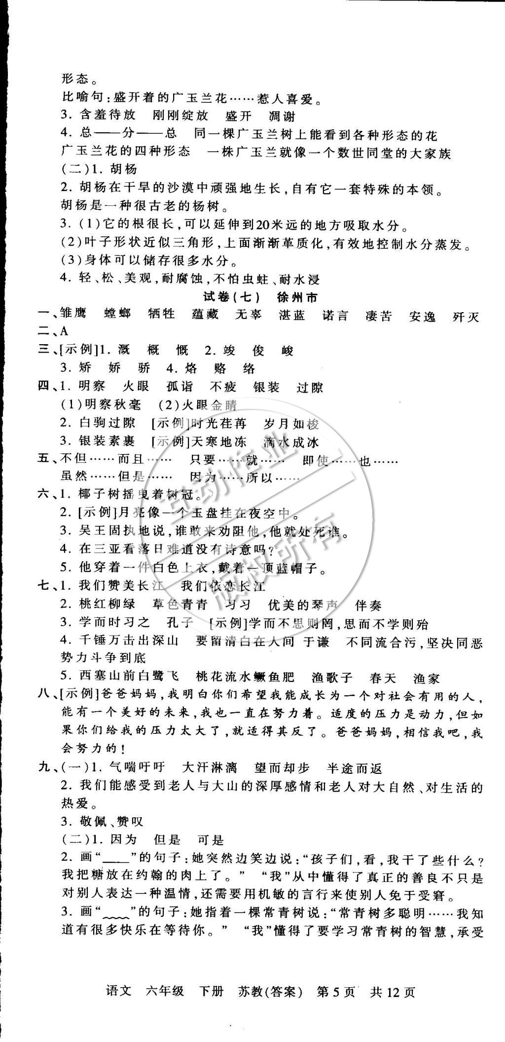 2015年王朝霞各地期末试卷精选六年级语文下册苏教版 第5页