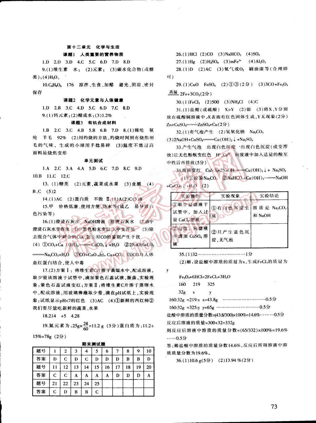 2015年化學(xué)配套綜合練習(xí)九年級(jí)下冊(cè)人教版 第4頁(yè)