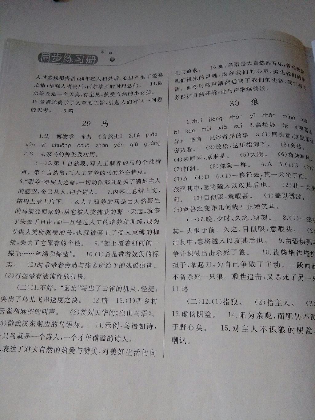 2015年同步练习册七年级语文下册人教版 第68页