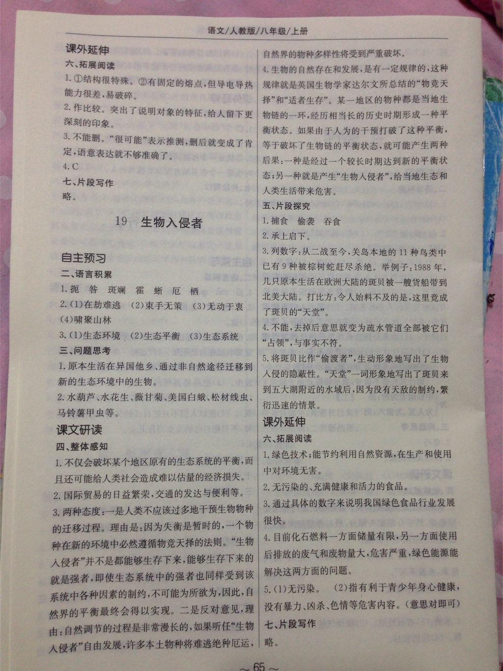 2014年新編基礎(chǔ)訓(xùn)練八年級語文上冊人教版 第17頁