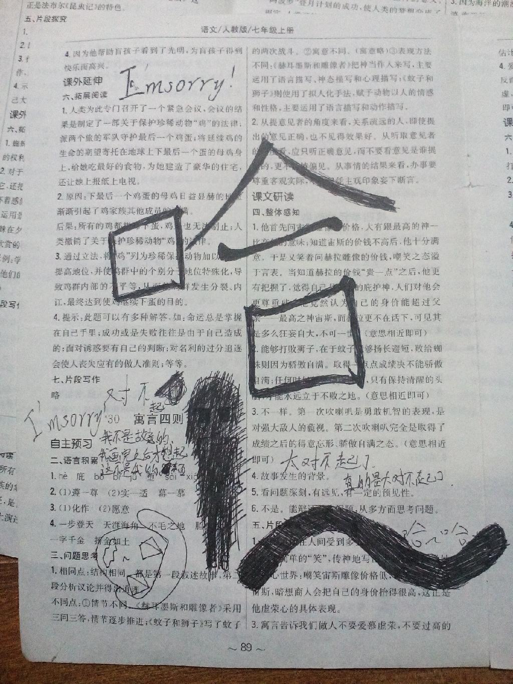 2014年新編基礎(chǔ)訓練七年級語文上冊人教版 第29頁