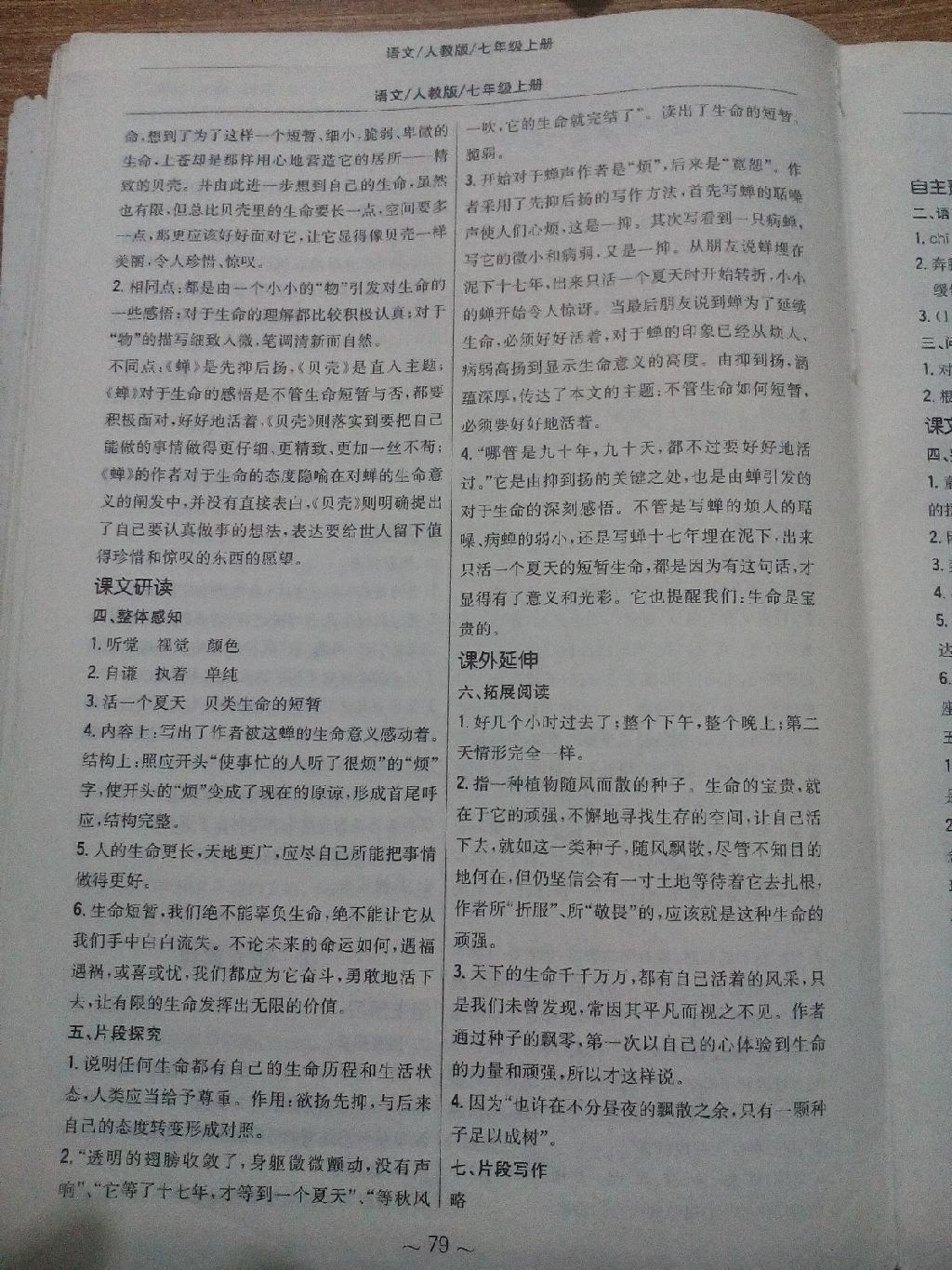 2014年新編基礎(chǔ)訓(xùn)練七年級語文上冊人教版 第19頁