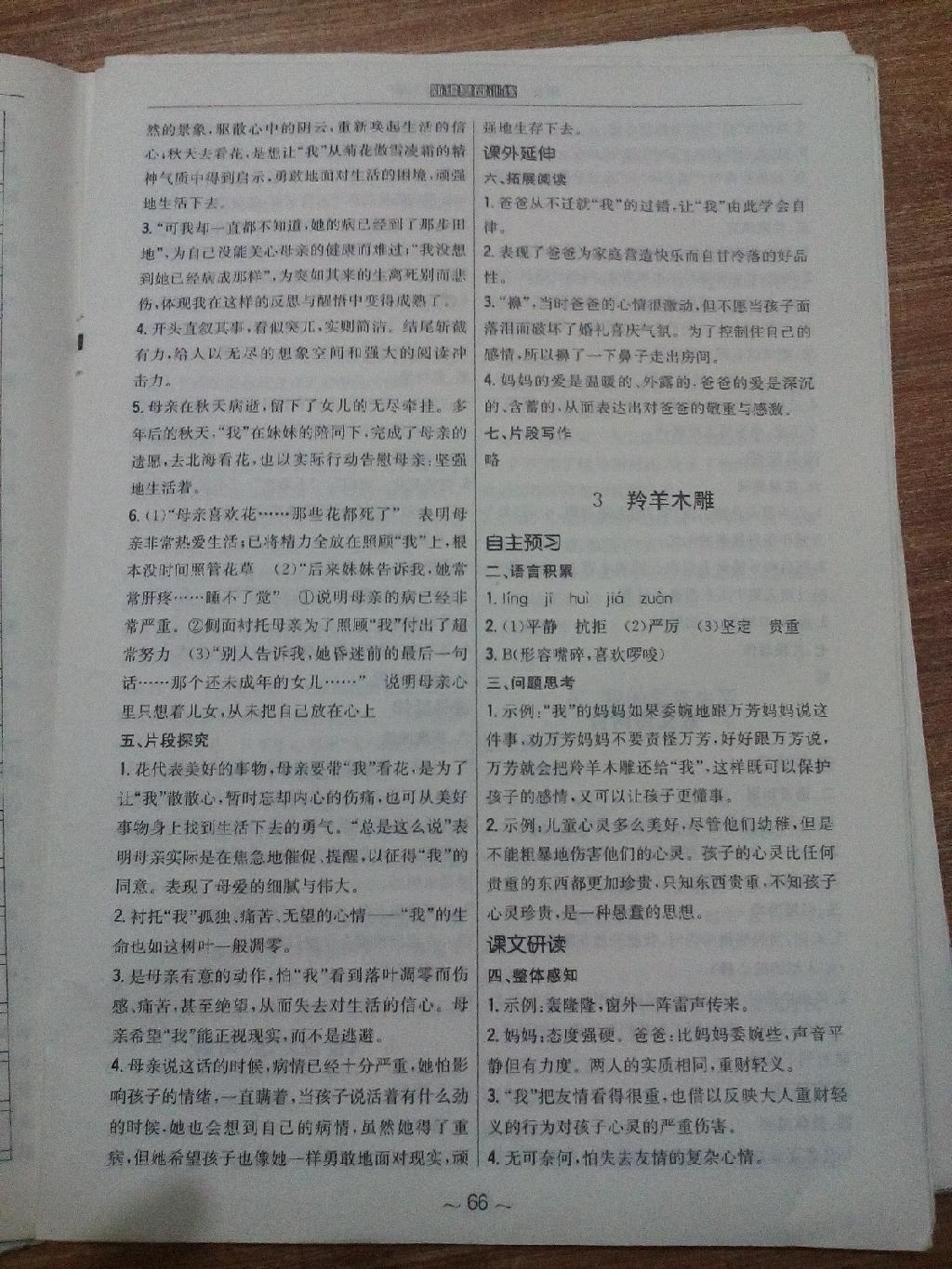 2014年新編基礎(chǔ)訓(xùn)練七年級語文上冊人教版 第5頁