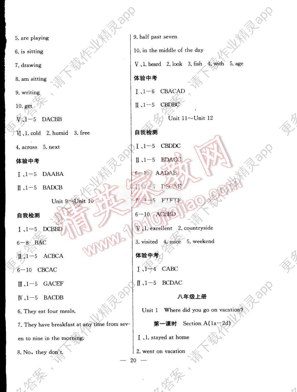 总人口英文_春节英文手抄报