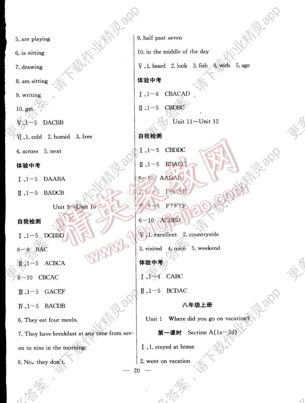 总人口英文_汉语和英语, 到底谁才是世界第一语言(2)