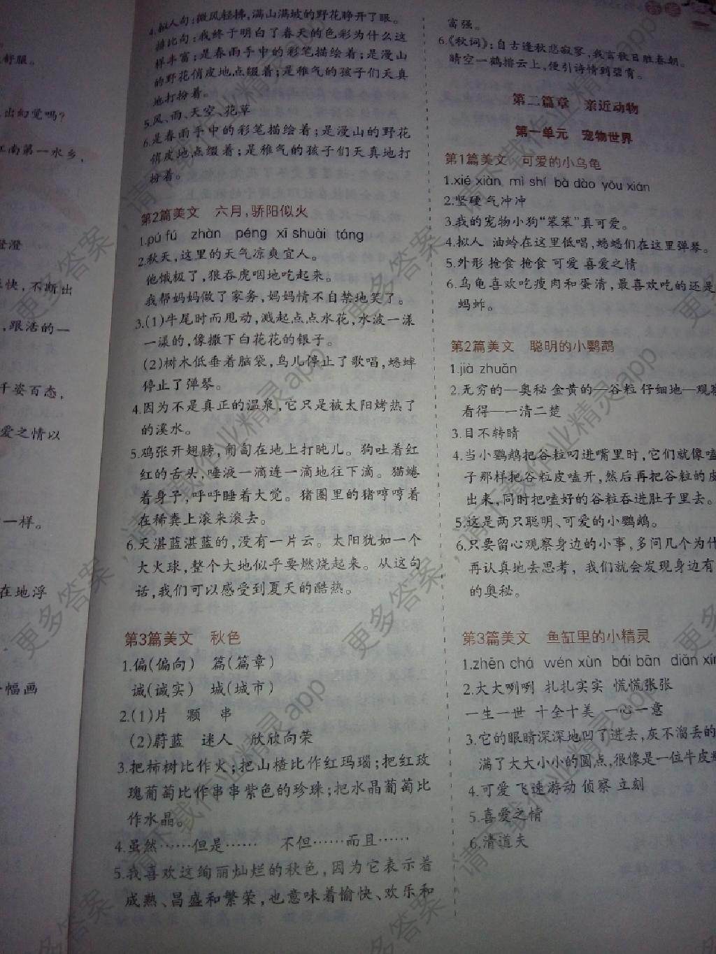 全国百所名校小学生语文阅读阶梯训练四年级答