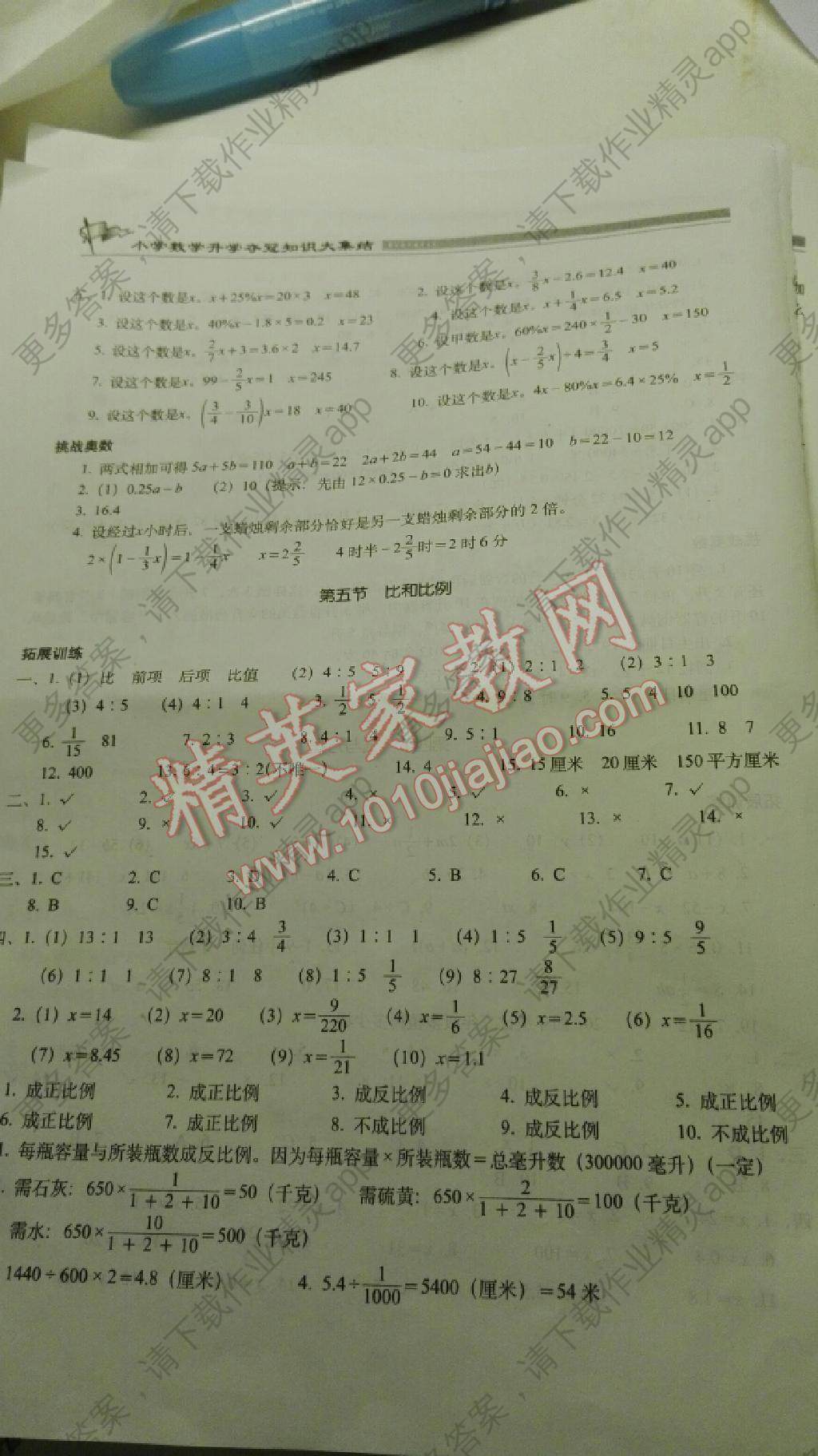 2015年小学数学升学夺冠知识大集结 第4页