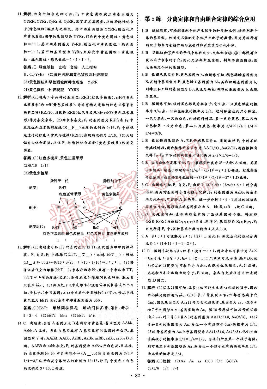 2015年導(dǎo)與練小題巧練高中生物必修2遺傳與進化 第4頁