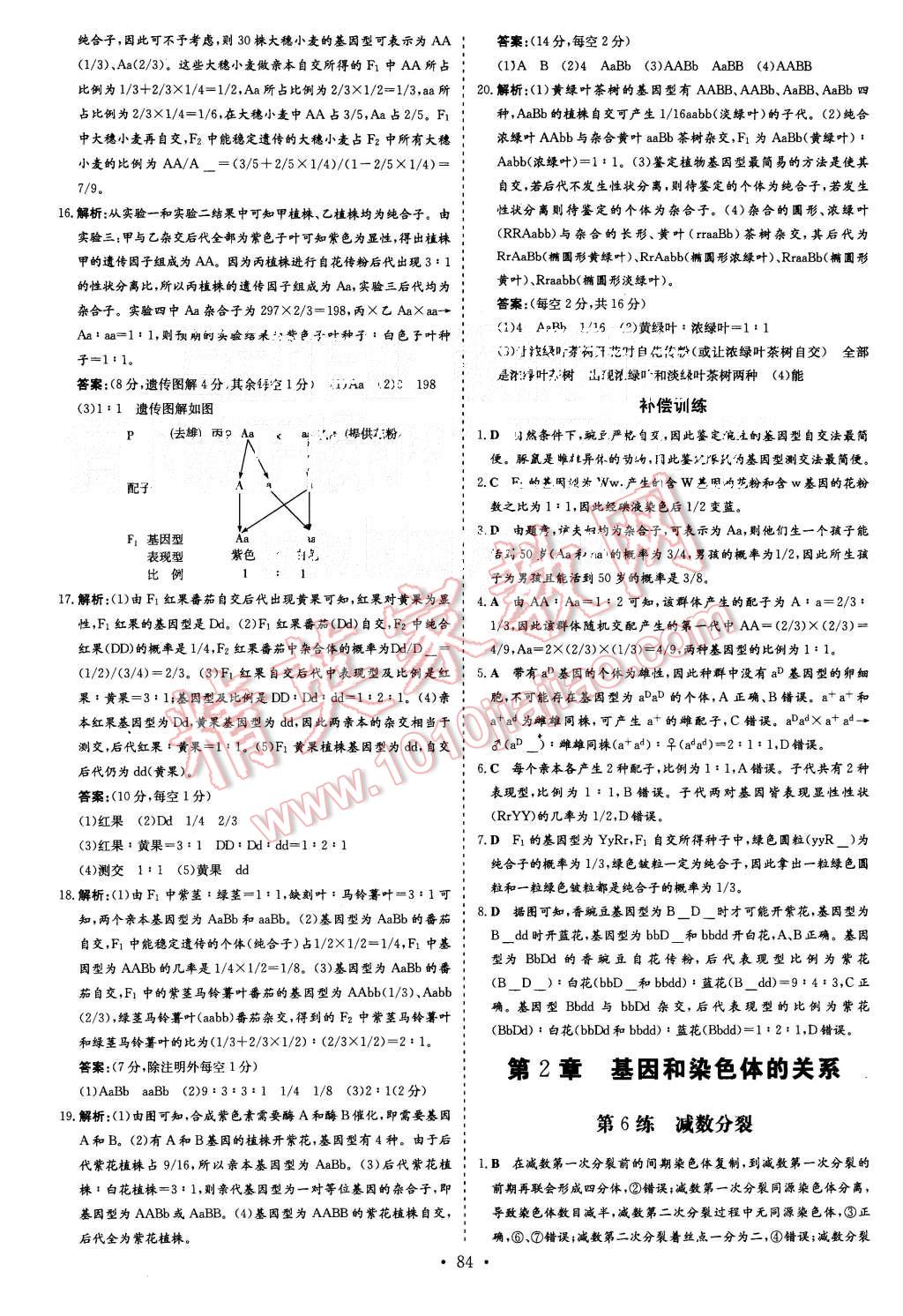 2015年導(dǎo)與練小題巧練高中生物必修2遺傳與進(jìn)化 第6頁(yè)