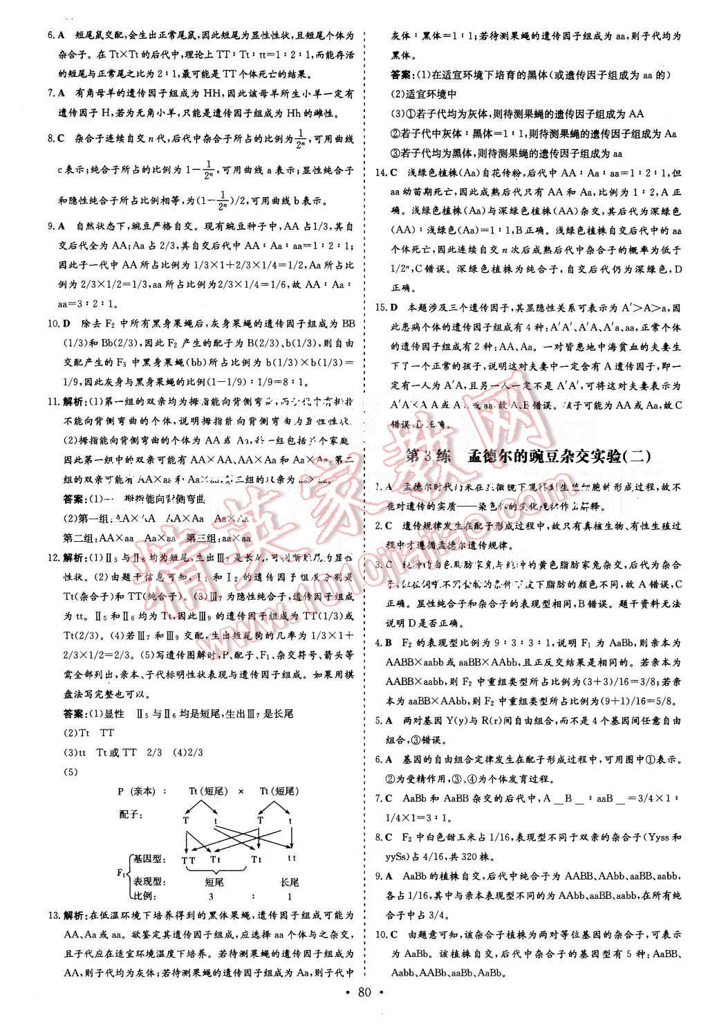 2015年導與練小題巧練高中生物必修2遺傳與進化 第2頁