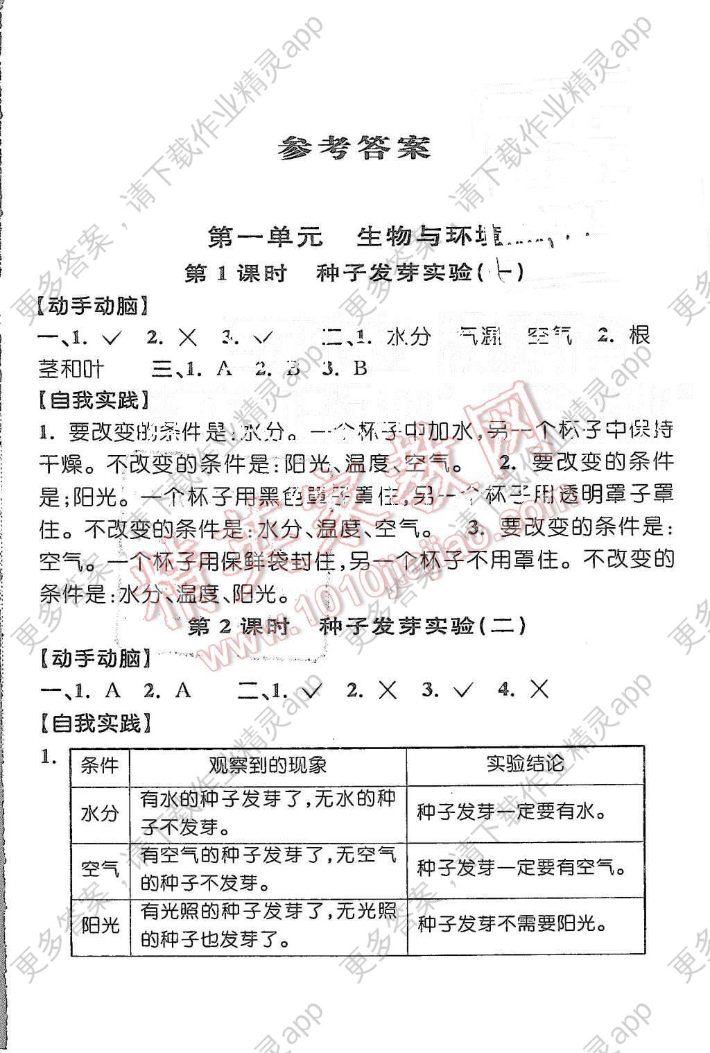 2015年同步特训小博士五年级科学上册教科版