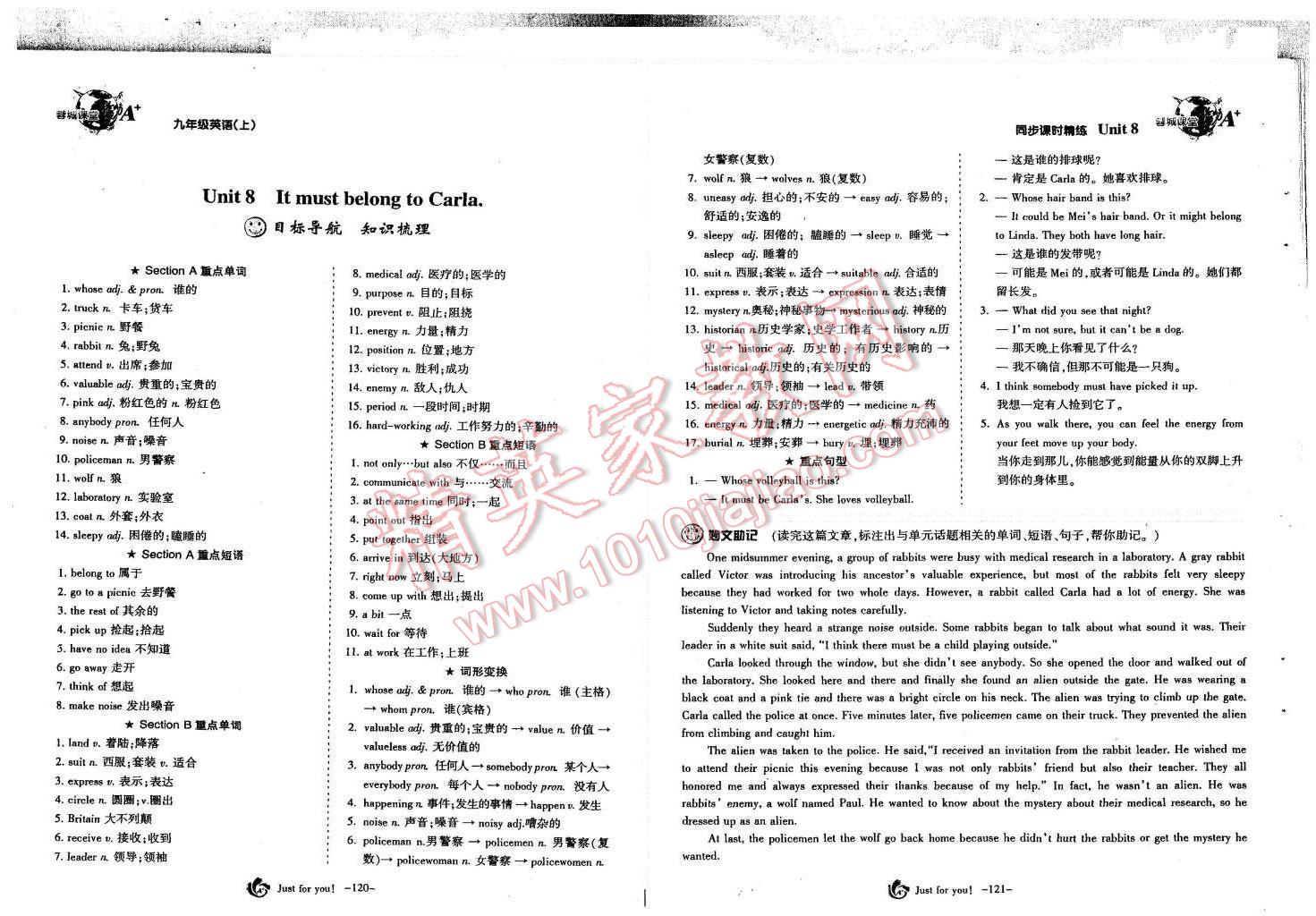 2015年蓉城課堂給力A加九年級英語全一冊 第62頁