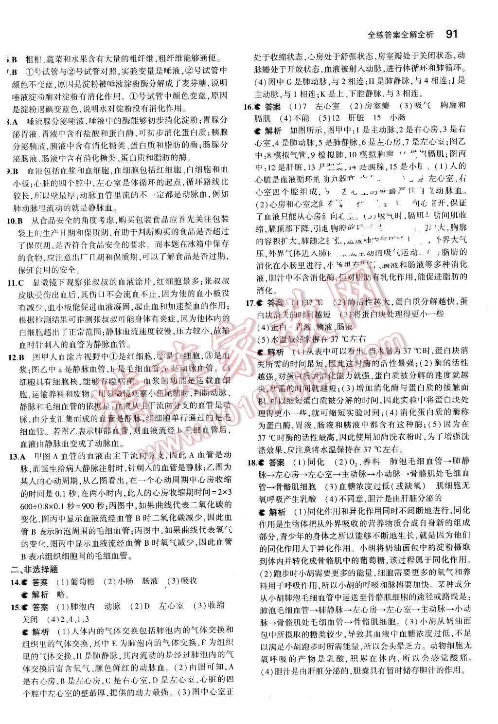 2016年5年中考3年模擬初中生物七年級(jí)下冊(cè)蘇教版 第14頁