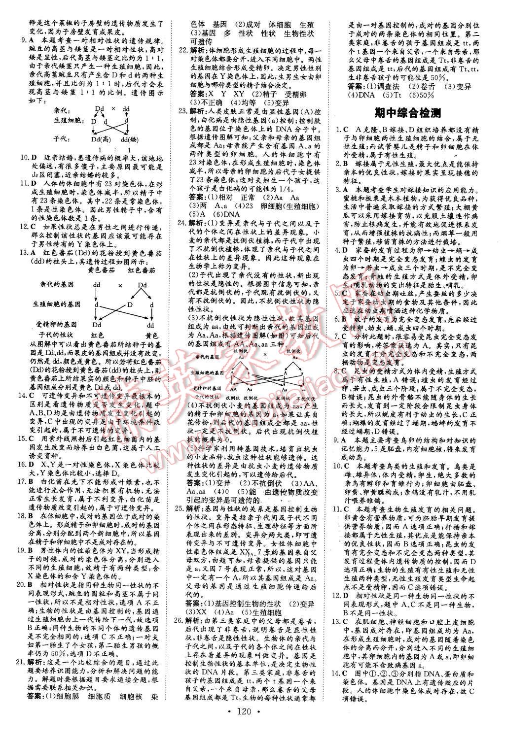 2016年初中同步學習導與練導學探究案八年級生物下冊人教版 第16頁