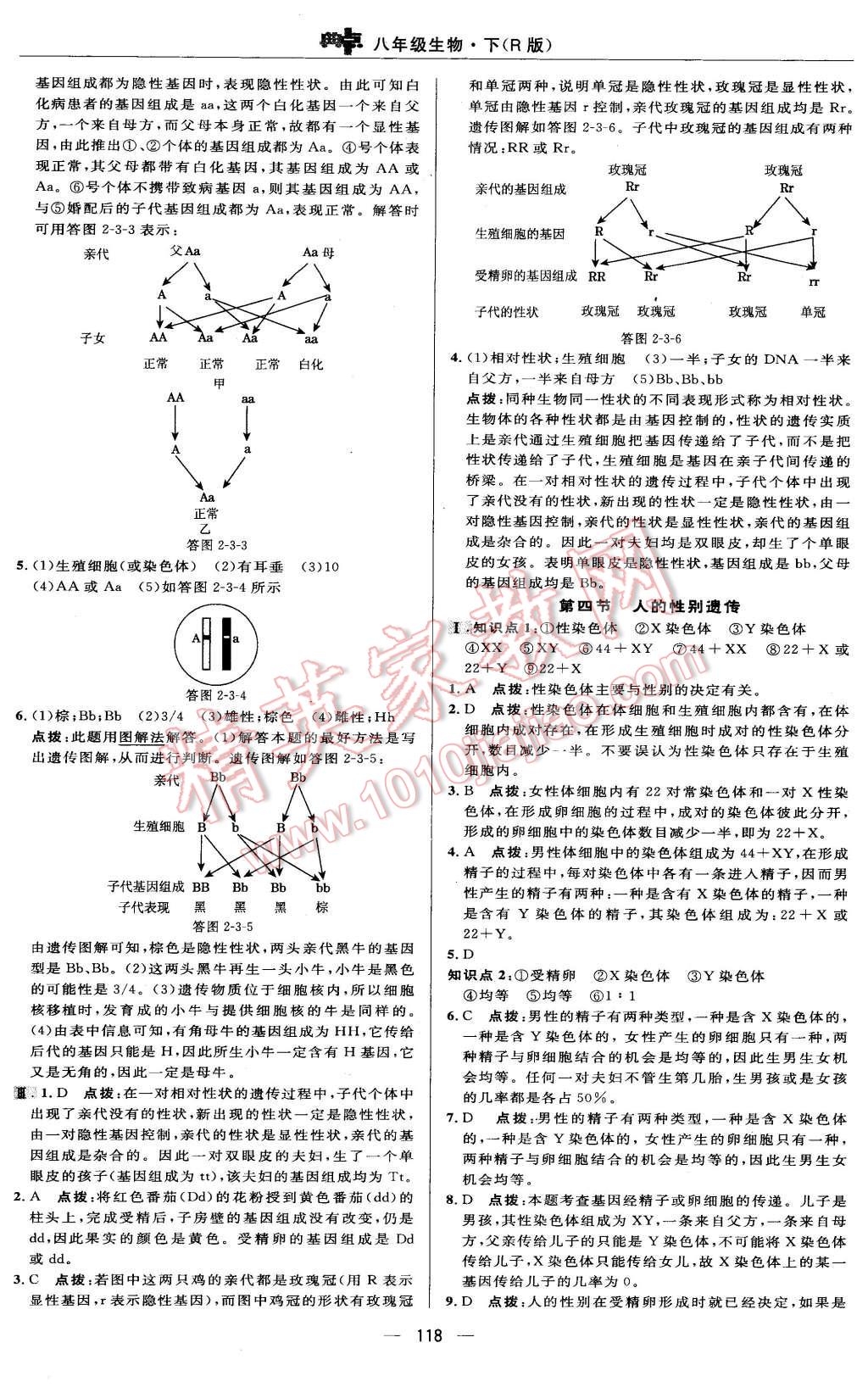 2016年綜合應(yīng)用創(chuàng)新題典中點(diǎn)八年級(jí)生物下冊(cè)人教版 第16頁(yè)