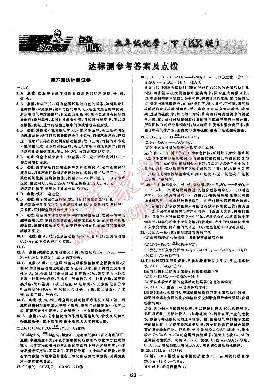 2016年点拨训练九年级化学下册科学版答案