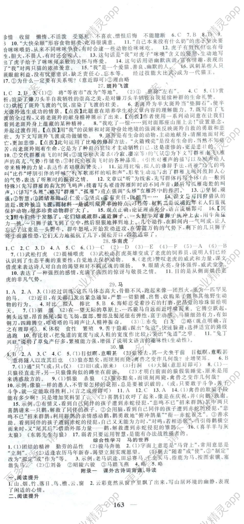 课时夺冠七年级下语文新疆科学技术出版社答案