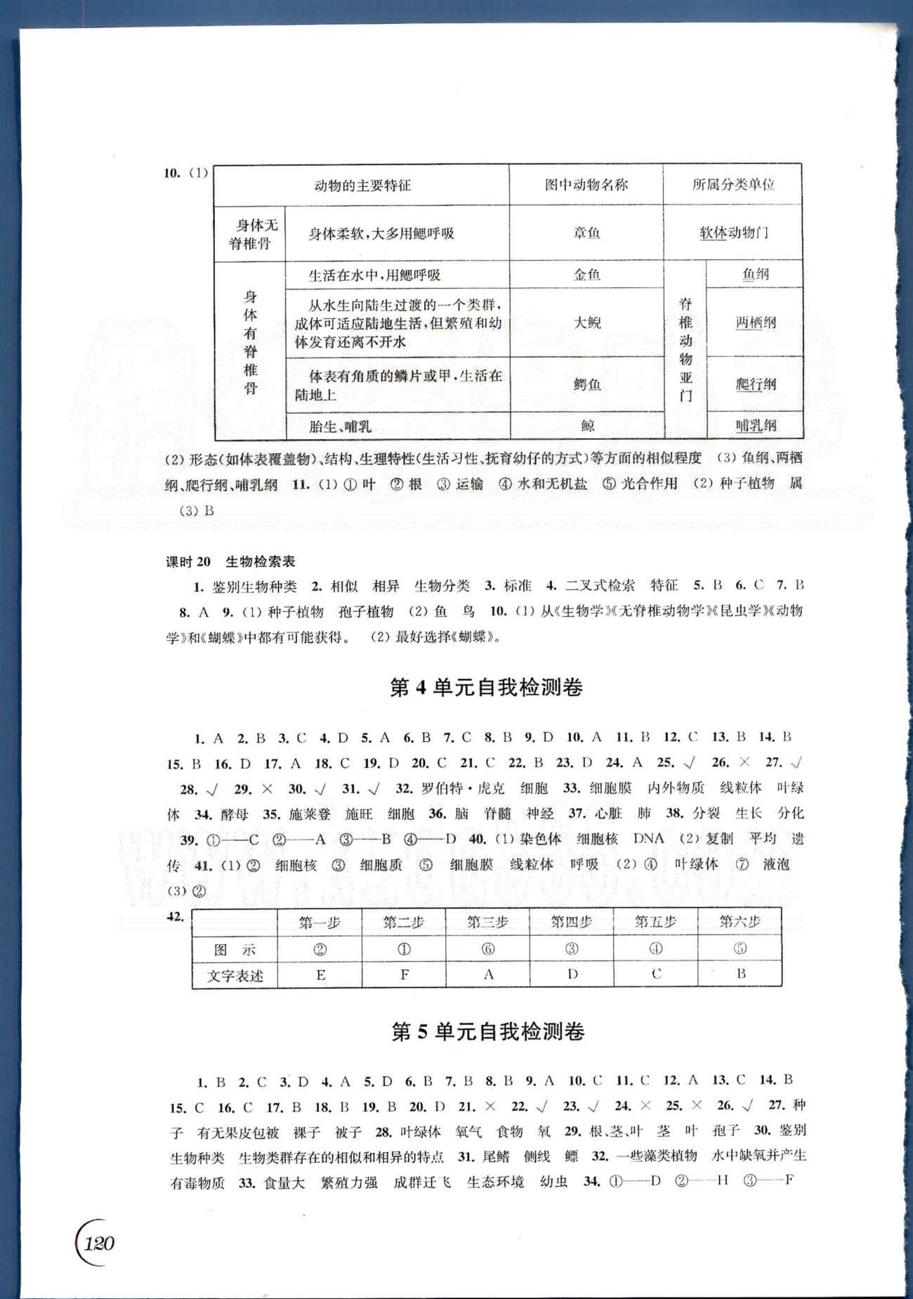 同步练习 苏教版七年级下生物江苏科学技术出版社 第五单元 [6]