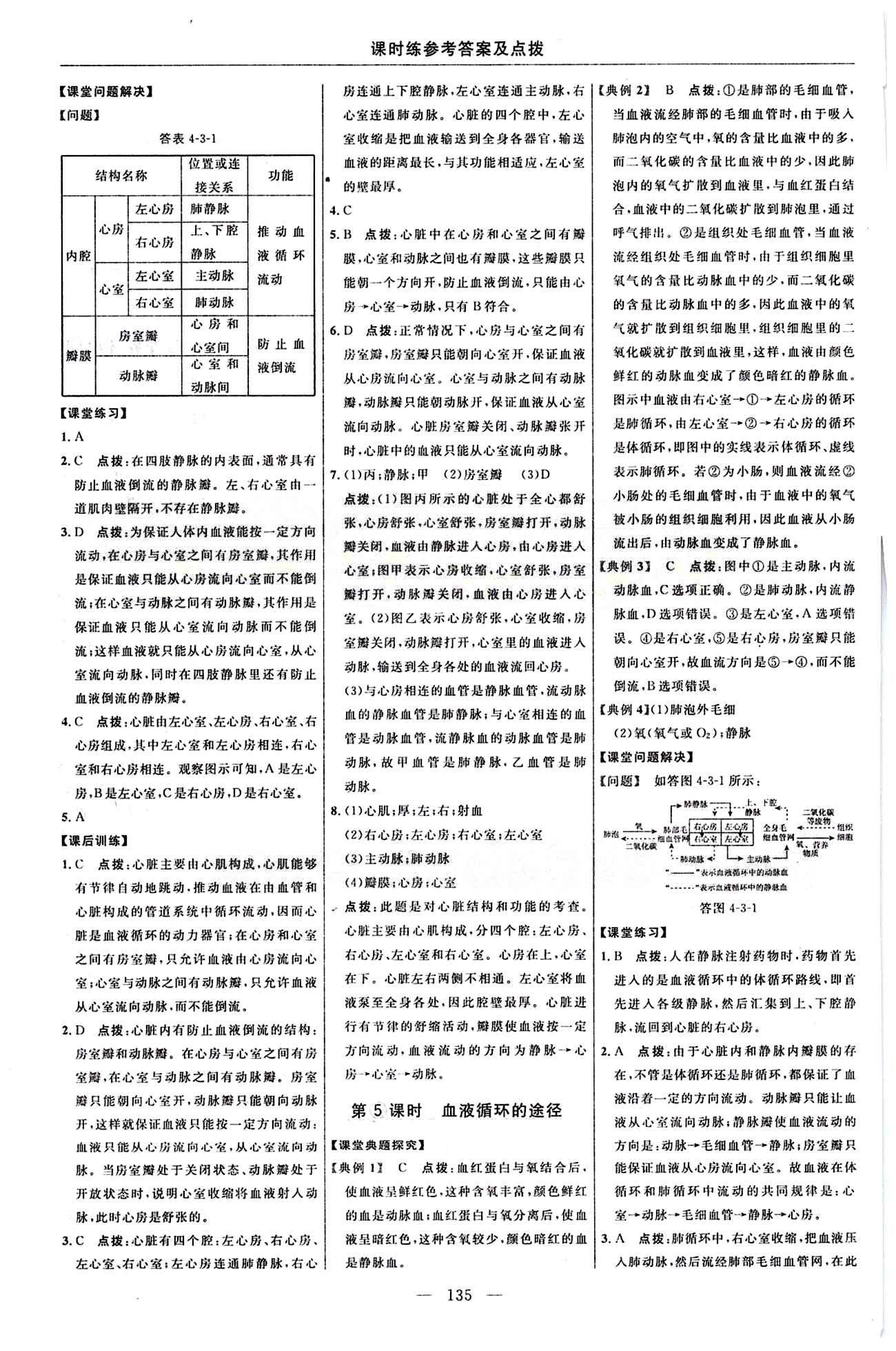 2015年點(diǎn)撥訓(xùn)練七年級(jí)生物下冊(cè)人教版 課時(shí)練答案與點(diǎn)撥 [14]