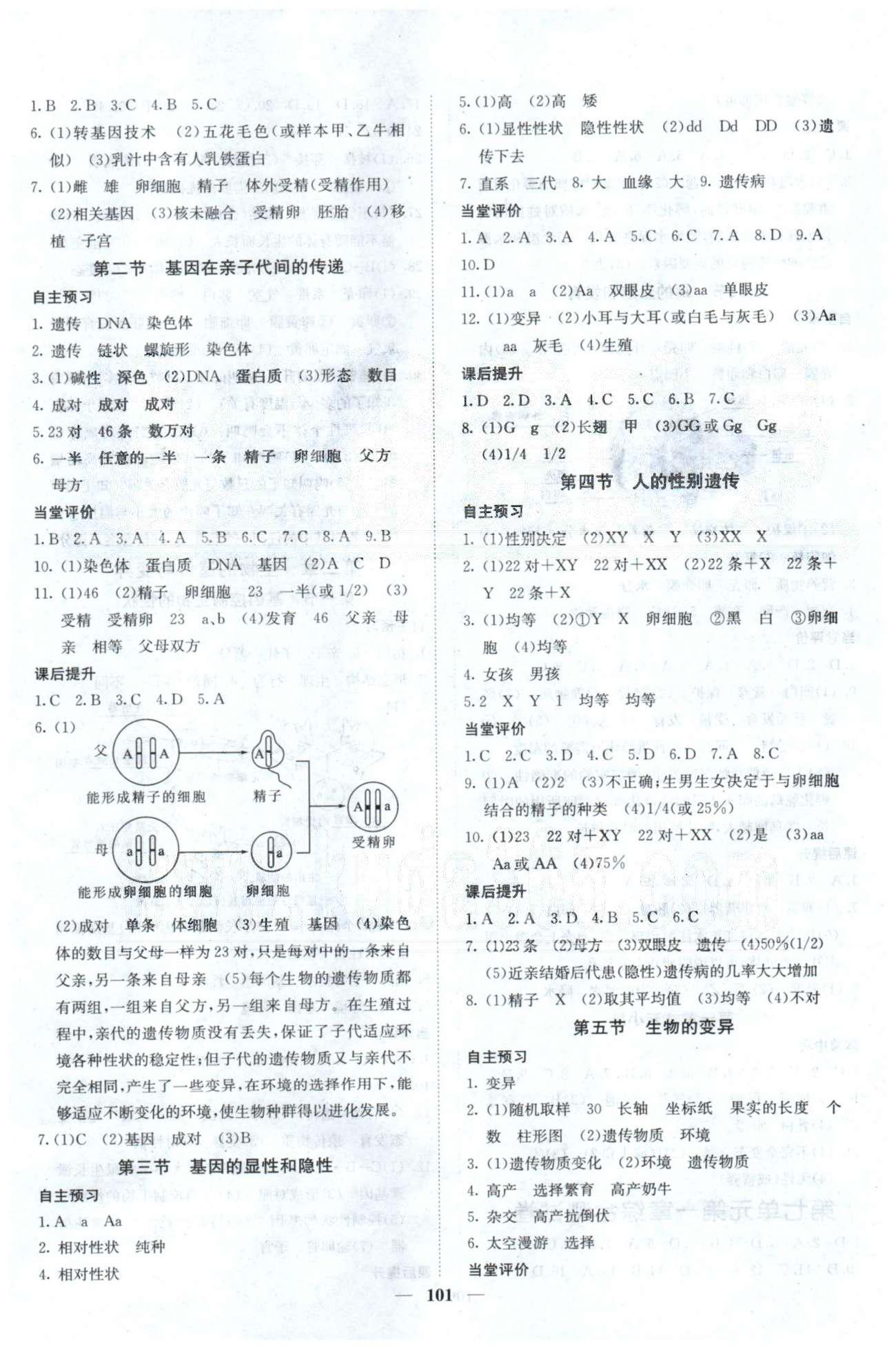 課堂點睛八年級下生物希望出版社 第7單元、期中測試 [3]