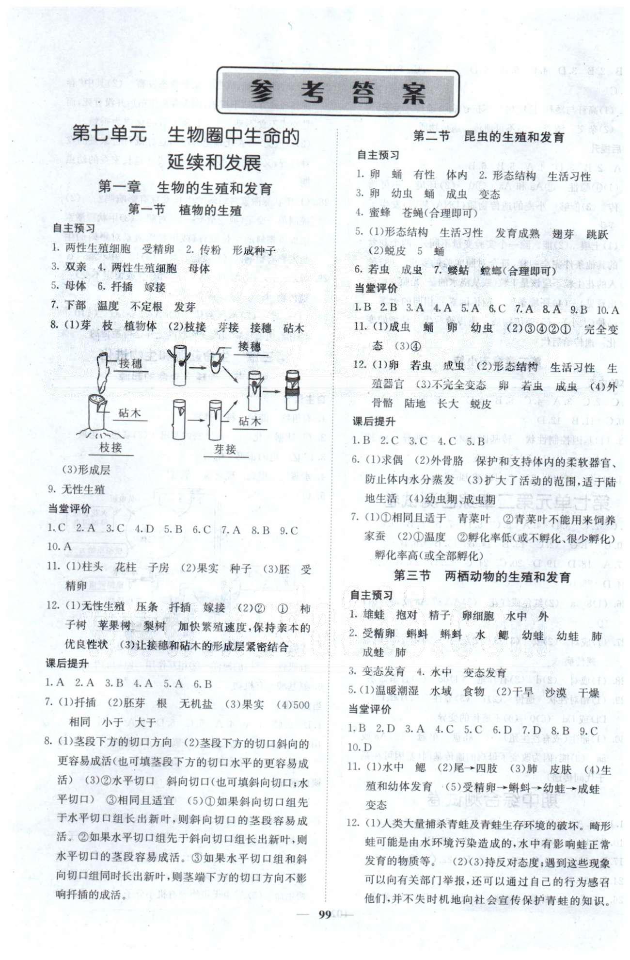 課堂點(diǎn)睛八年級(jí)下生物希望出版社 第7單元、期中測(cè)試 [1]