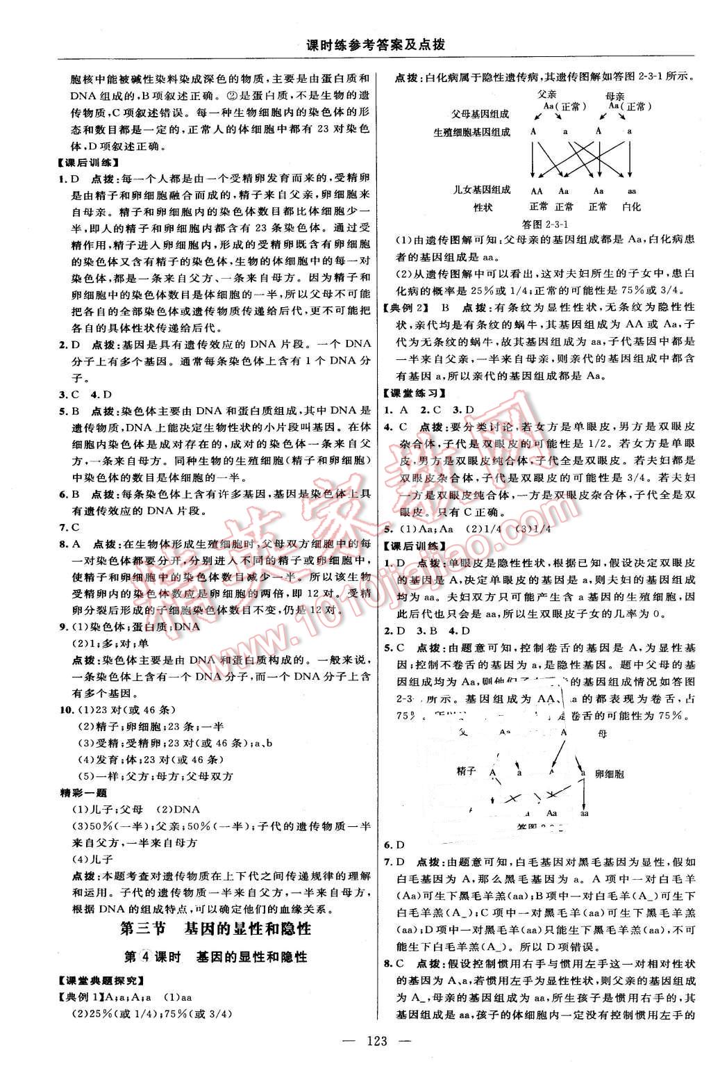 2016年點(diǎn)撥訓(xùn)練八年級(jí)生物下冊(cè)人教版 第13頁(yè)