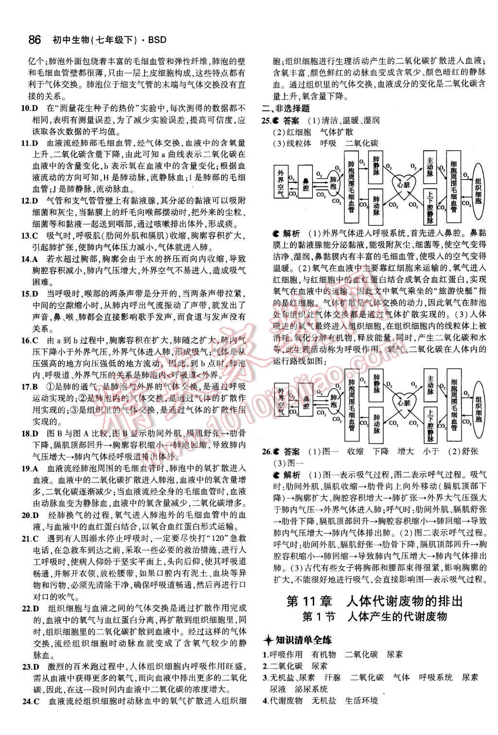 2016年5年中考3年模擬初中生物七年級下冊北師大版 第9頁