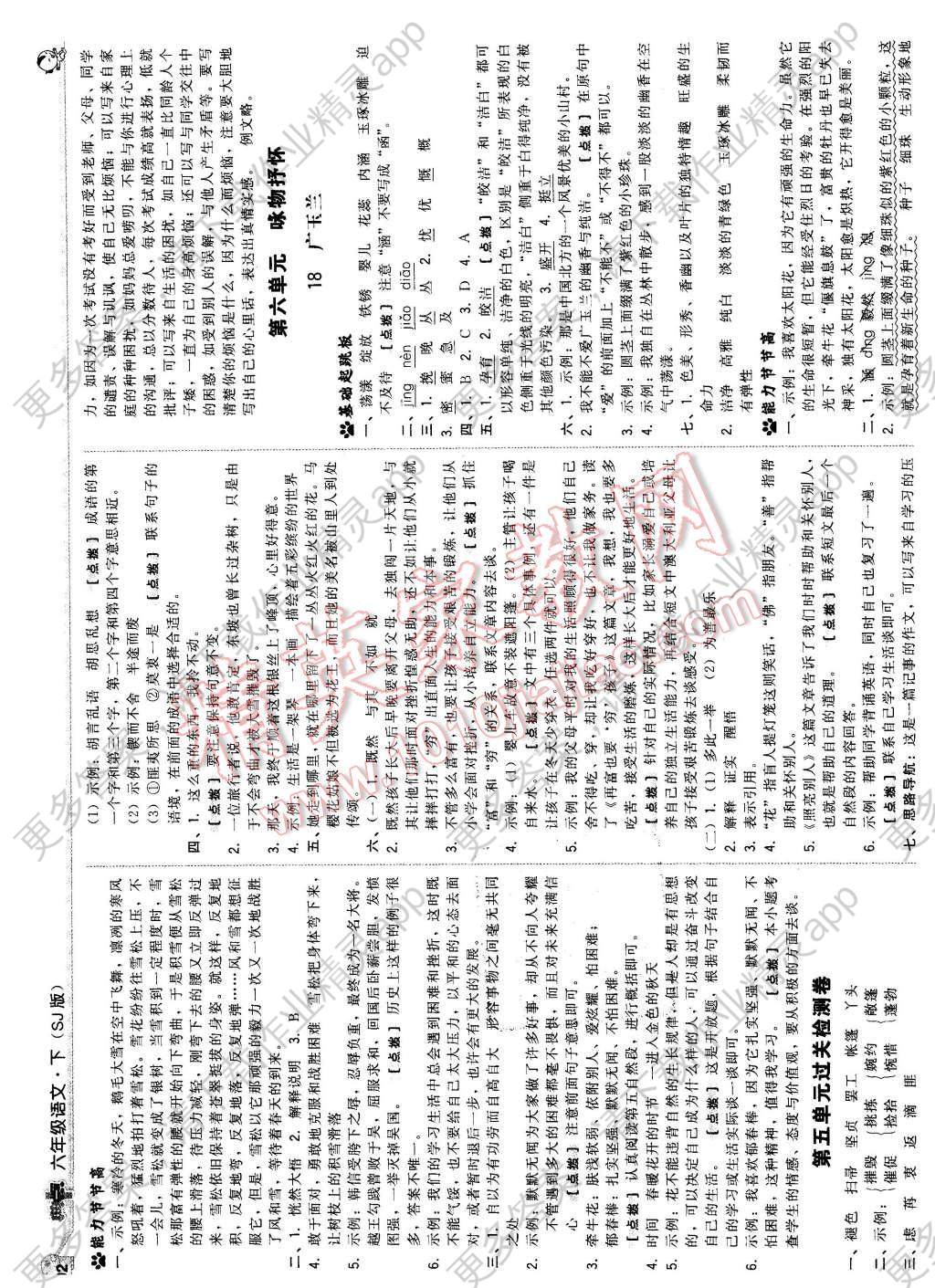 2016年综合应用创新题典中点六年级语文下册苏教版答案—精英家教网