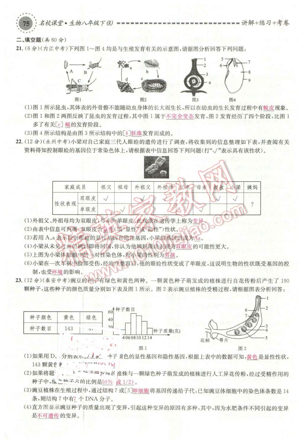 2016年名校課堂滾動學(xué)習(xí)法八年級生物下冊人教版 第31頁