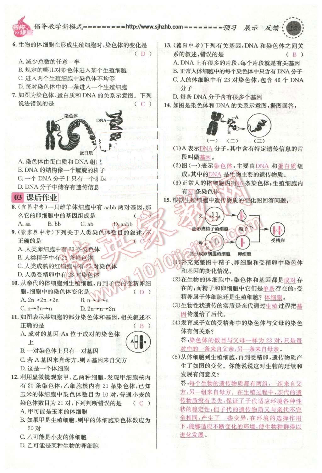 2016年名校課堂滾動學習法八年級生物下冊人教版 第58頁