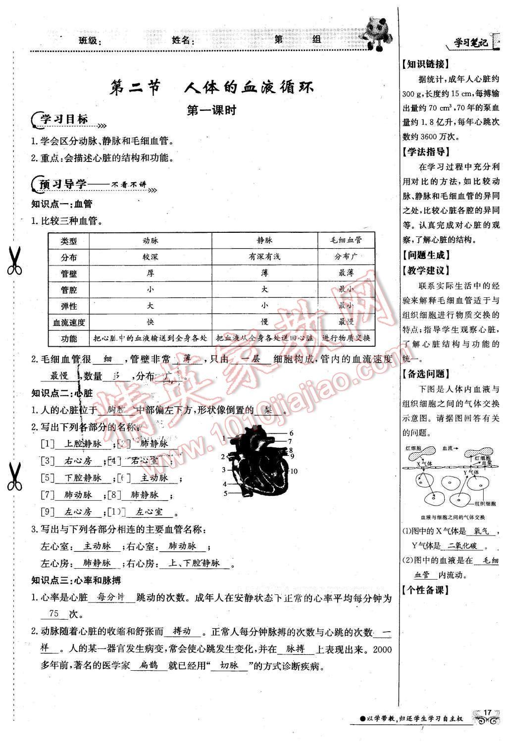 2016年金太陽導(dǎo)學(xué)案七年級(jí)生物下冊(cè)蘇教版 第17頁