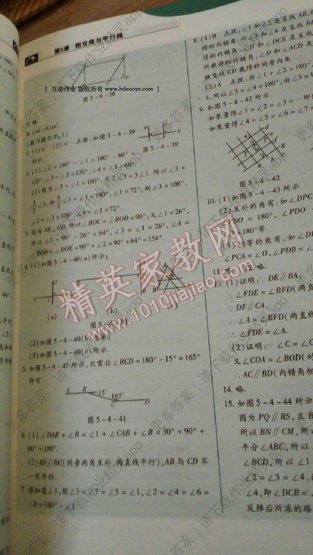 七年级上数学课本答案