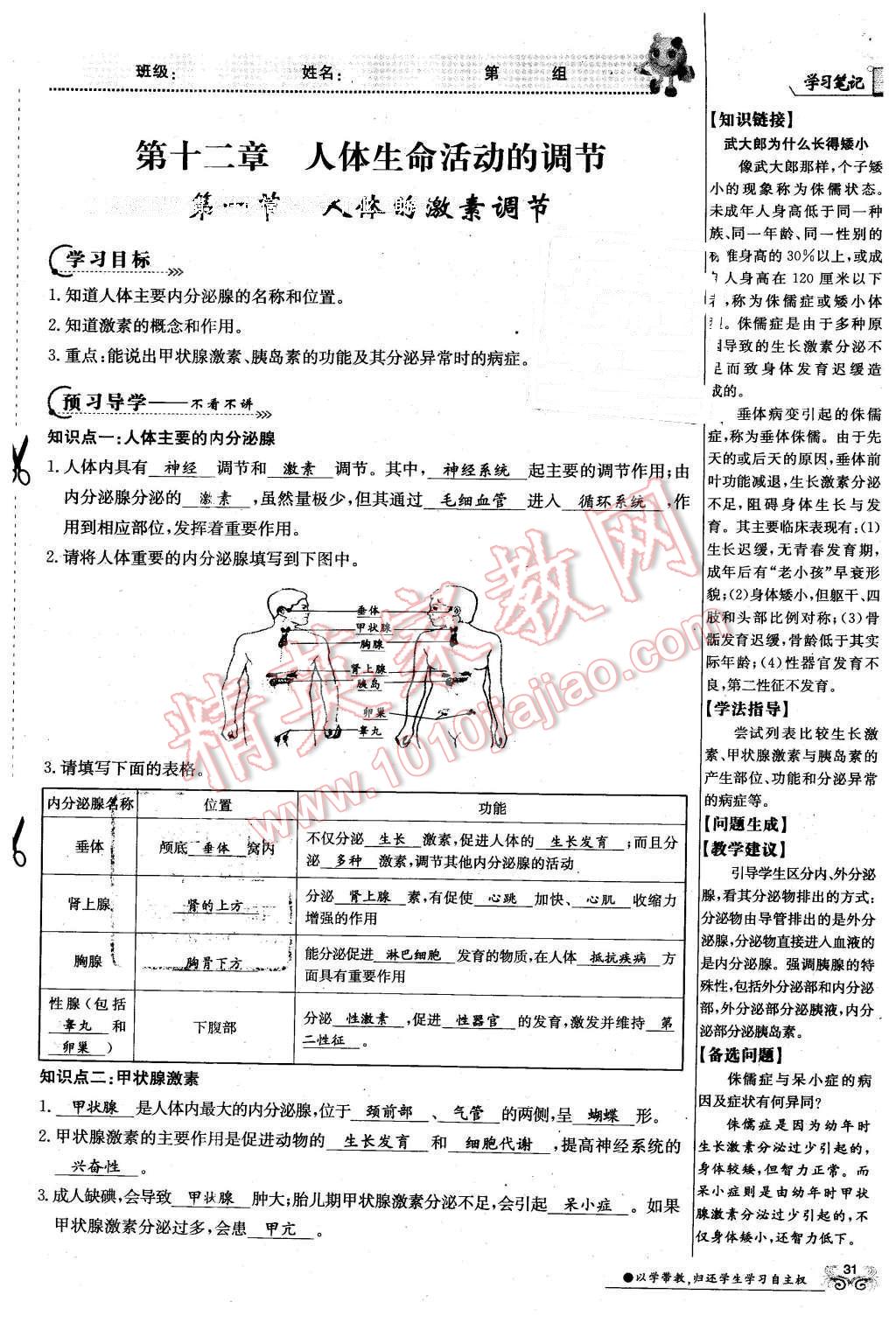 2016年金太陽導學案七年級生物下冊蘇教版 第31頁